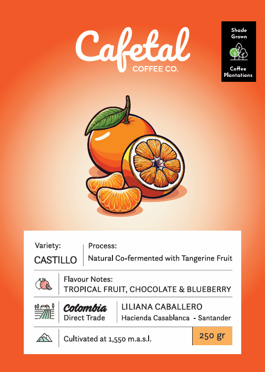 Castillo Tangerine Coffee Beans