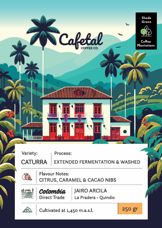 Caturra Washed Coffee Beans