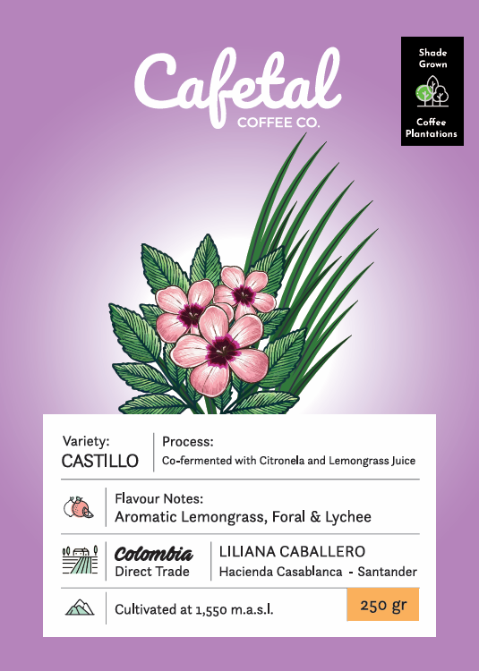 Castillo Aromatic Coffee Beans