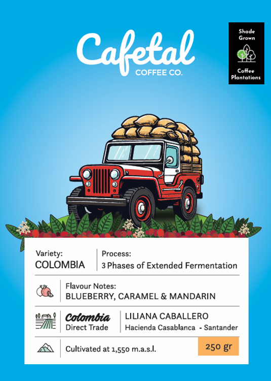 Colombia Triple Fermented Coffee Beans