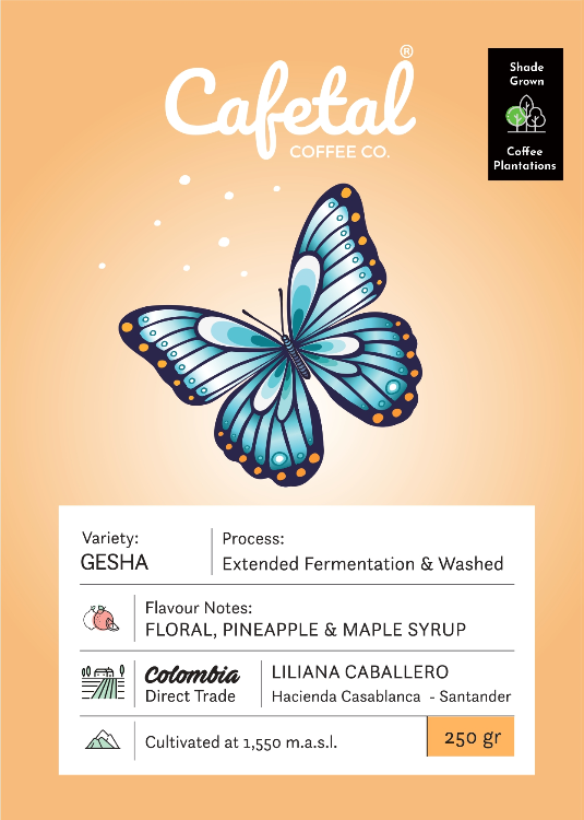 Gesha Fermented Coffee Beans