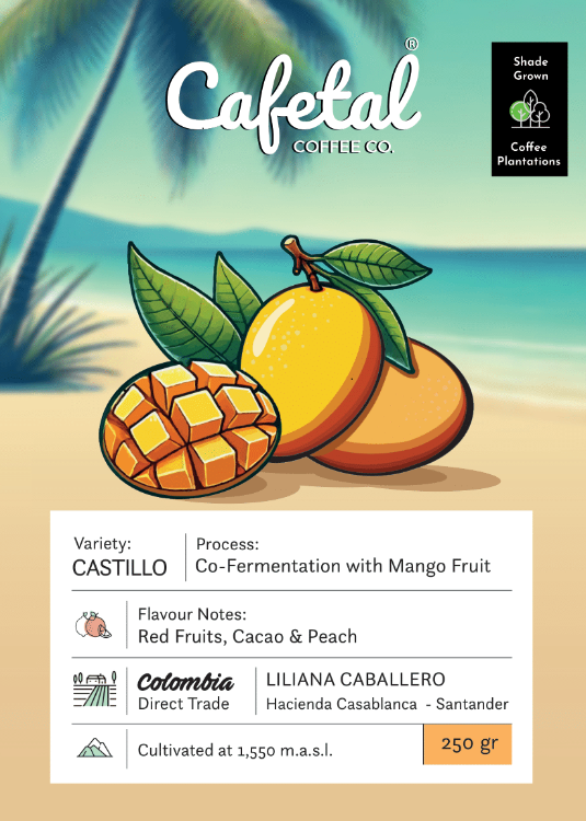 Castillo Mango Coffee Beans