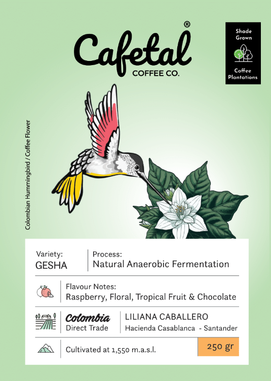 Gesha Natural Coffee Beans