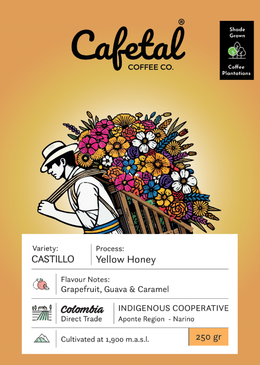 Castillo Honey Coffee Beans
