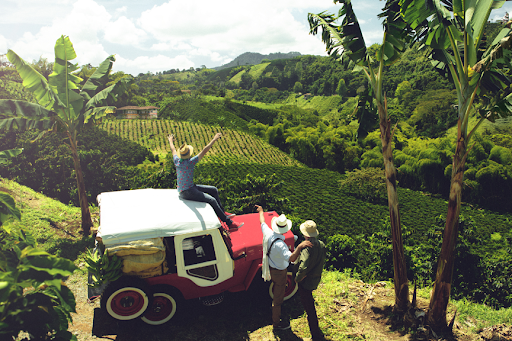 Willys Jeep, the Colombian coffee icon that inspired Cafetal's Colombia Triple Fermented label