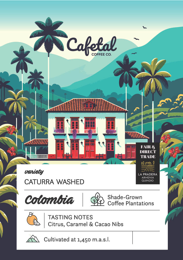 Caturra Washed Coffee Beans