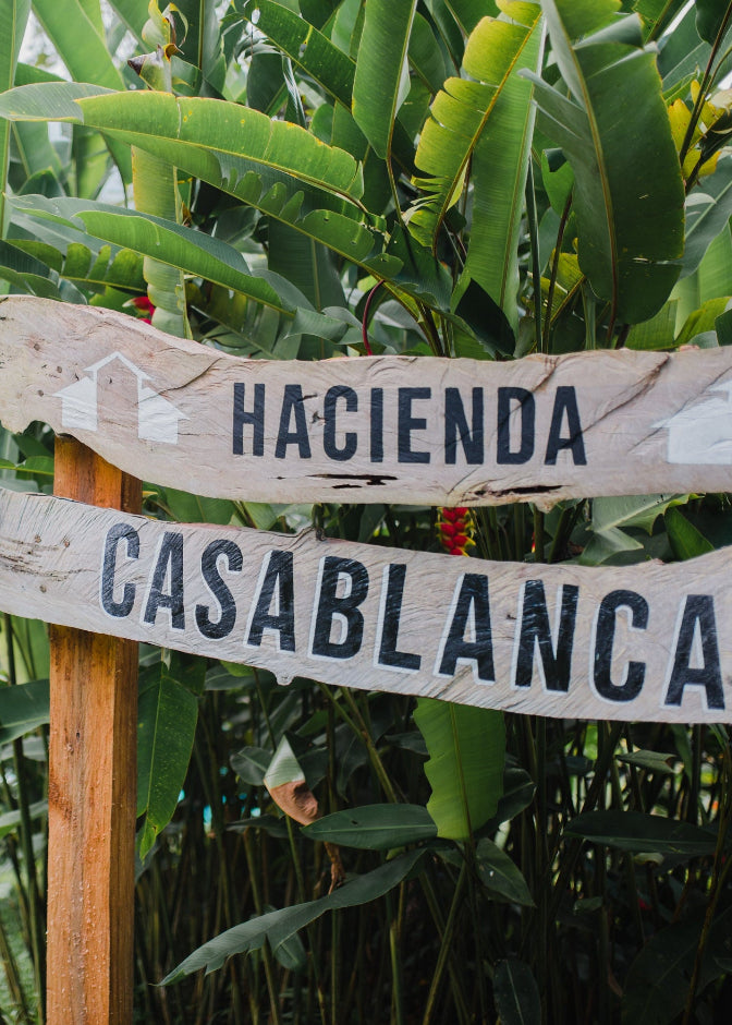 Two rustic wooden signs reading 'HACIENDA CASABLANCA' in Santander, Colombia, with small house icons, mounted on wooden posts in front of lush green tropical foliage.