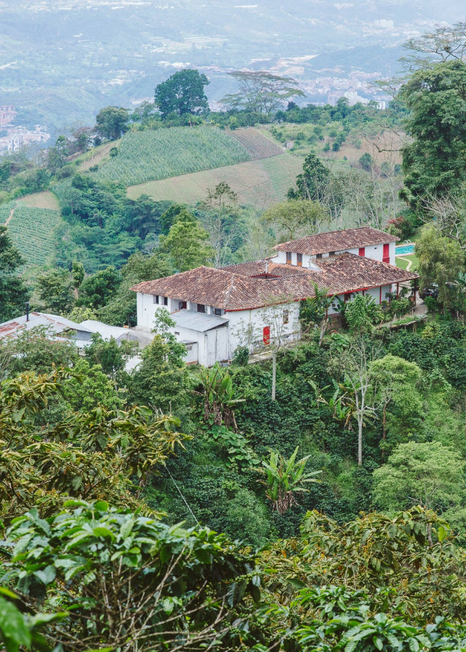 A scenic view of Hacienda Casablanca in Santander, Colombia, with a reddish-brown tiled roof nestled among dense green trees and bamboo on a hillside, with a hazy valley and distant structures in the background.