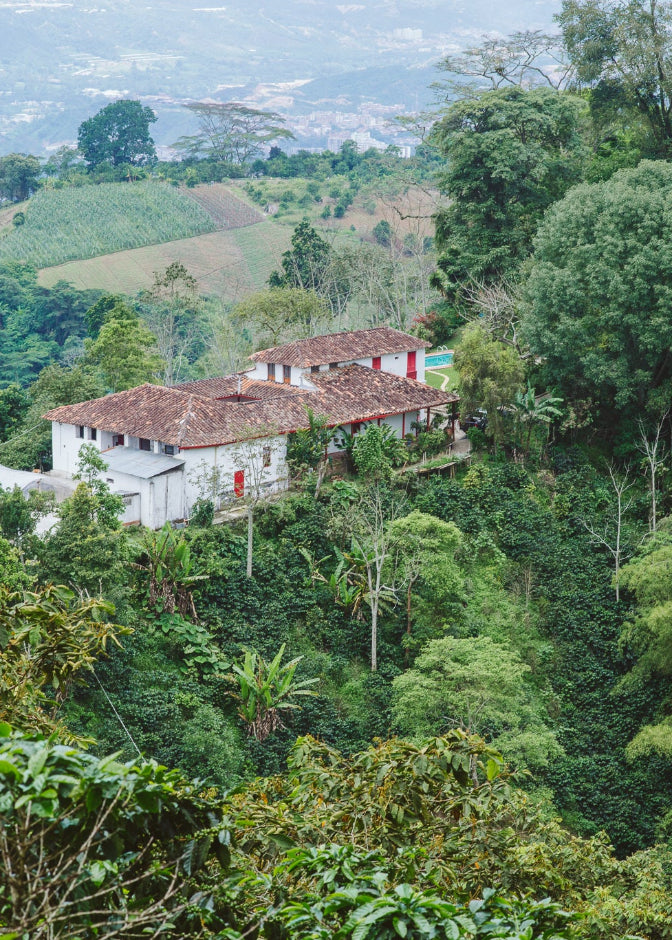 A scenic view of Hacienda Casablanca in Santander, Colombia, nestled among dense green tropical trees on a hillside, with rolling agricultural fields and distant mountains in the background.