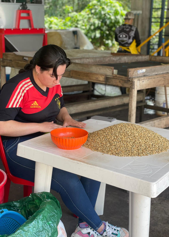 A woman from Hacienda Casablanca in Santander, Colombia, working with a pile of Pink Bourbon coffee beans and an orange bowl in a coffee farm processing facility