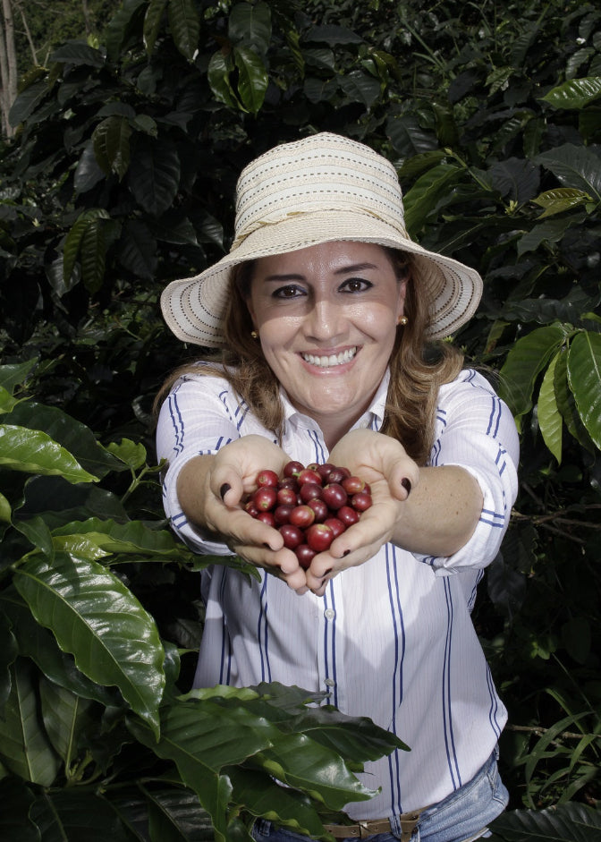 Cafetal Coffee Co. Gesha single origin coffee pouch packaging, featuring a light peach background with a blue and orange butterfly illustration and product details printed on the front.