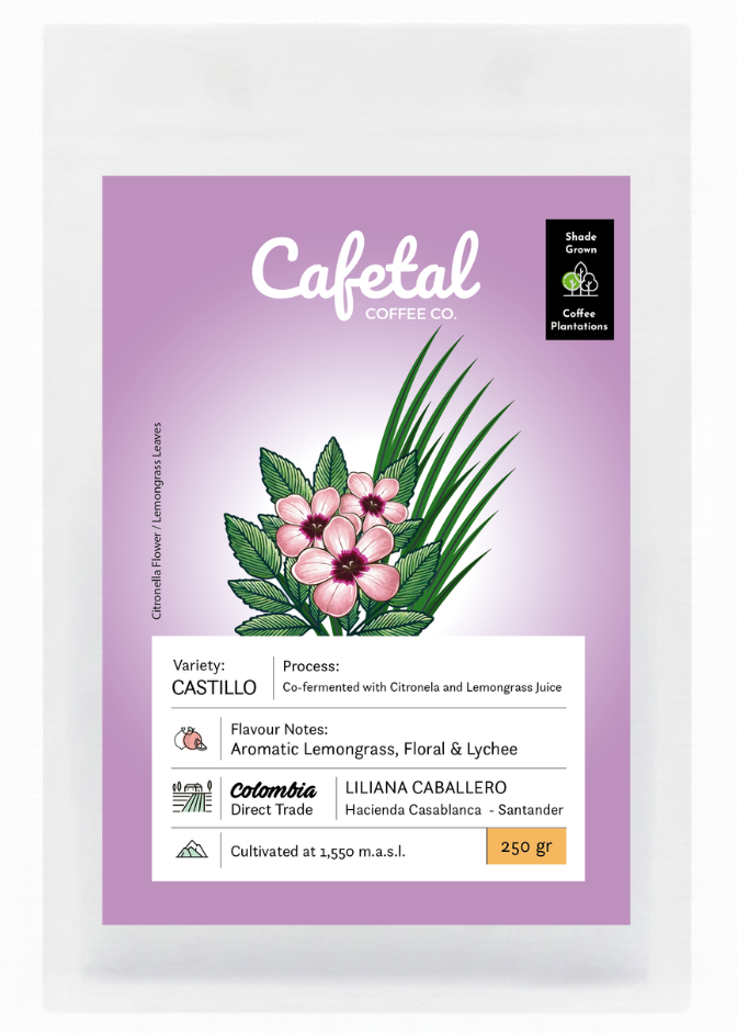 Castillo Aromatic Coffee Beans