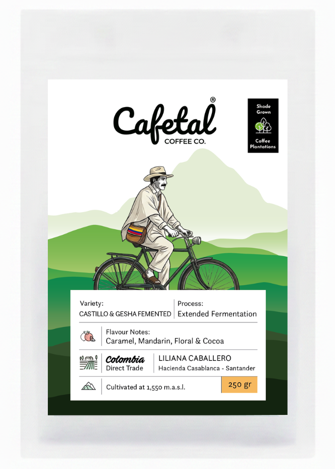 Mountain Blend - Castillo & Gesha Fermented Coffee Beans