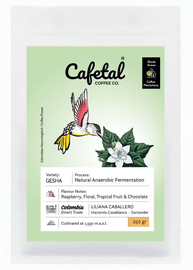 Gesha Natural Coffee Beans