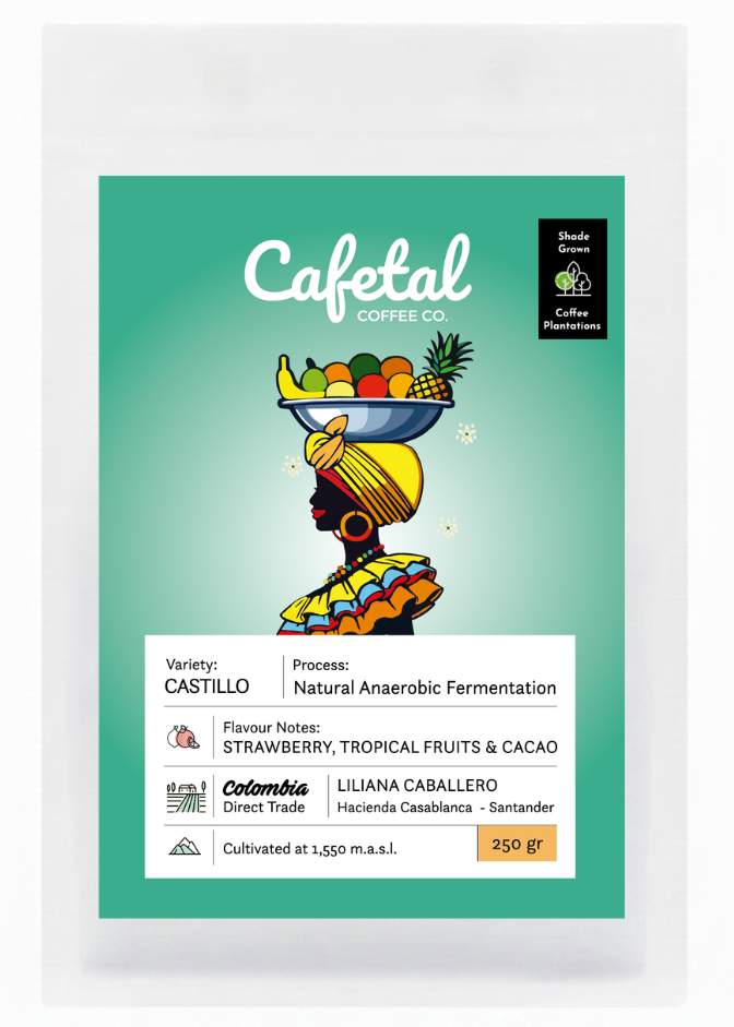 Castillo Natural Coffee Beans