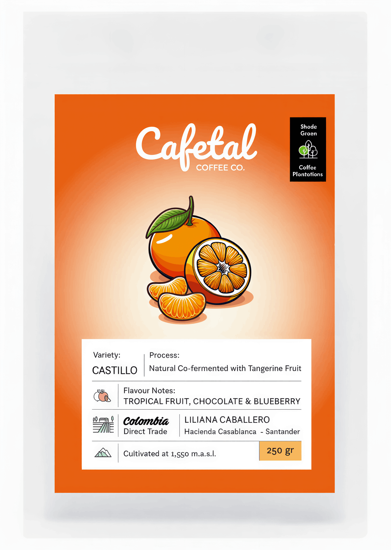 A package of Cafetal Coffee Co. Castillo coffee, featuring a vibrant orange label with illustrations of oranges and a white text section detailing the variety, process, and flavour notes.