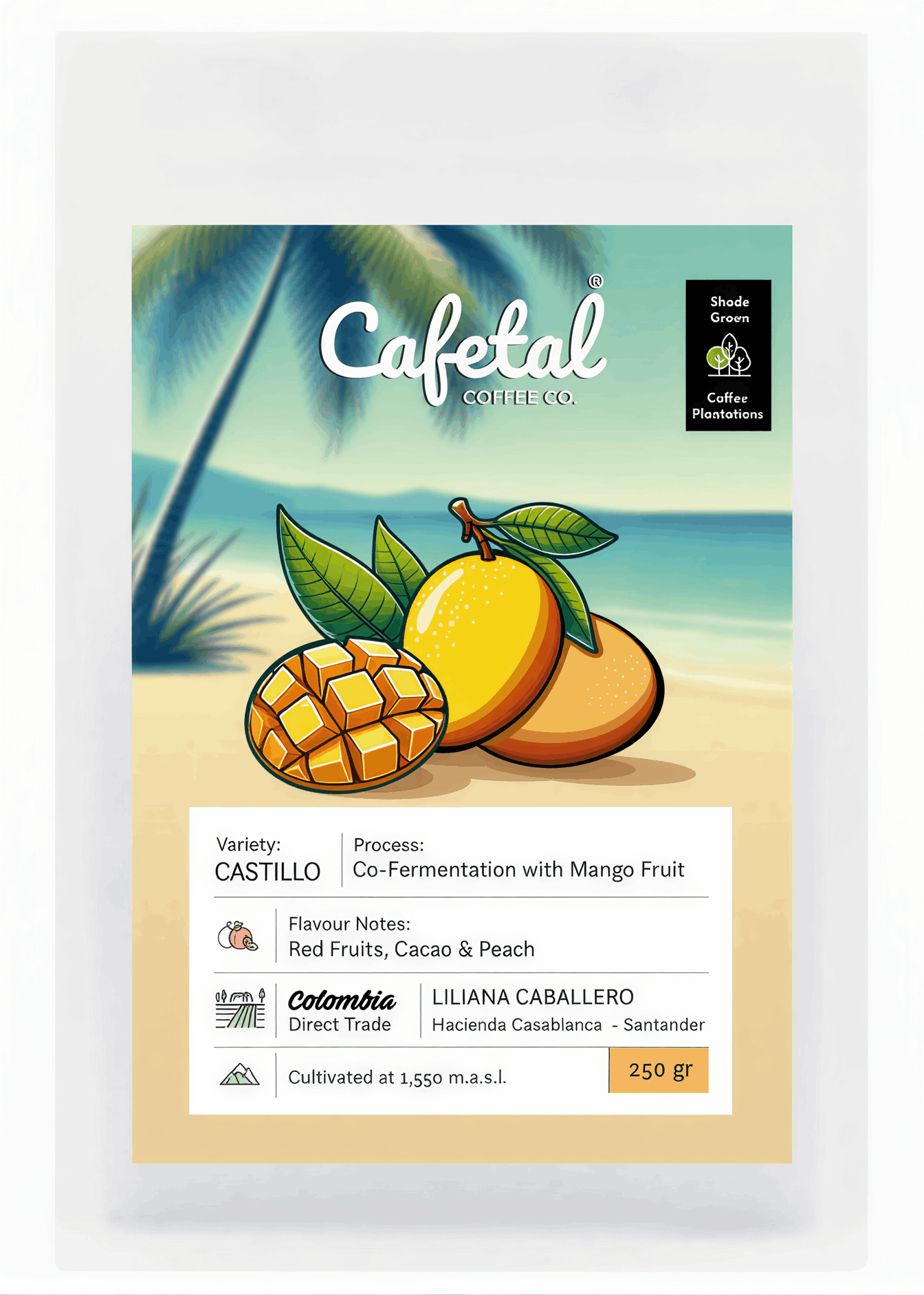 A package of Cafetal Coffee Co. Castillo coffee, featuring a tropical beach illustration with mangoes on the label, set against a clean white background.
