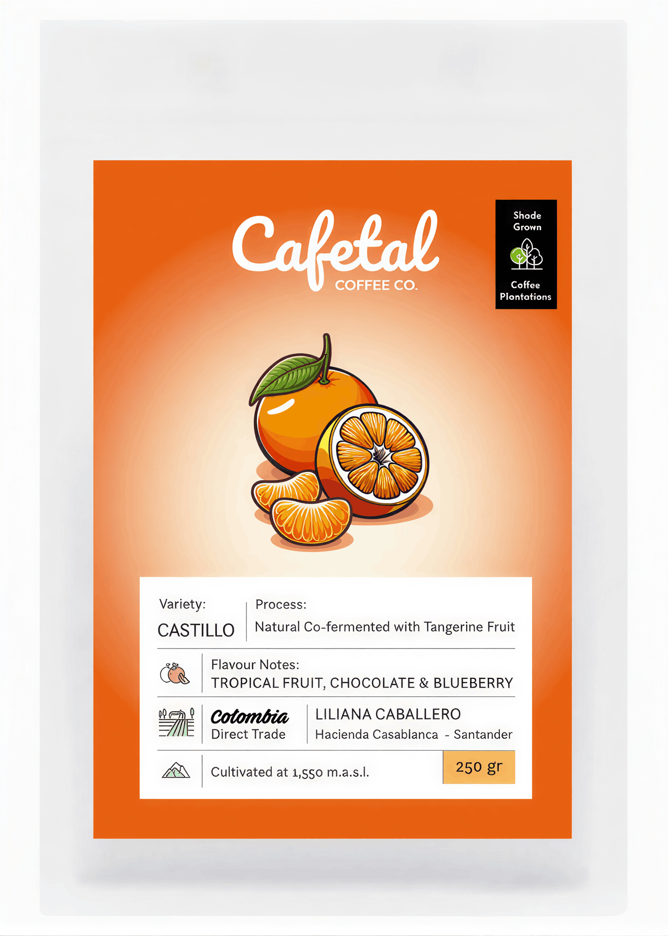 A package of Cafetal Coffee Co. Castillo coffee, featuring a bright orange label with illustrations of oranges and a white information panel detailing the variety, process, and flavor notes.